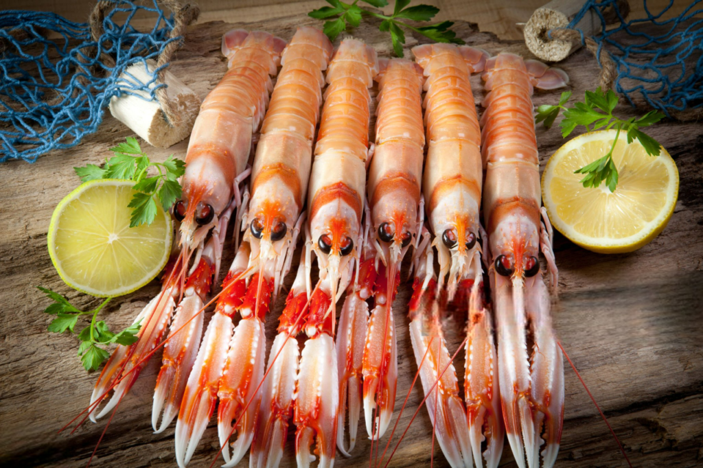 Cuisson langoustine vivantes