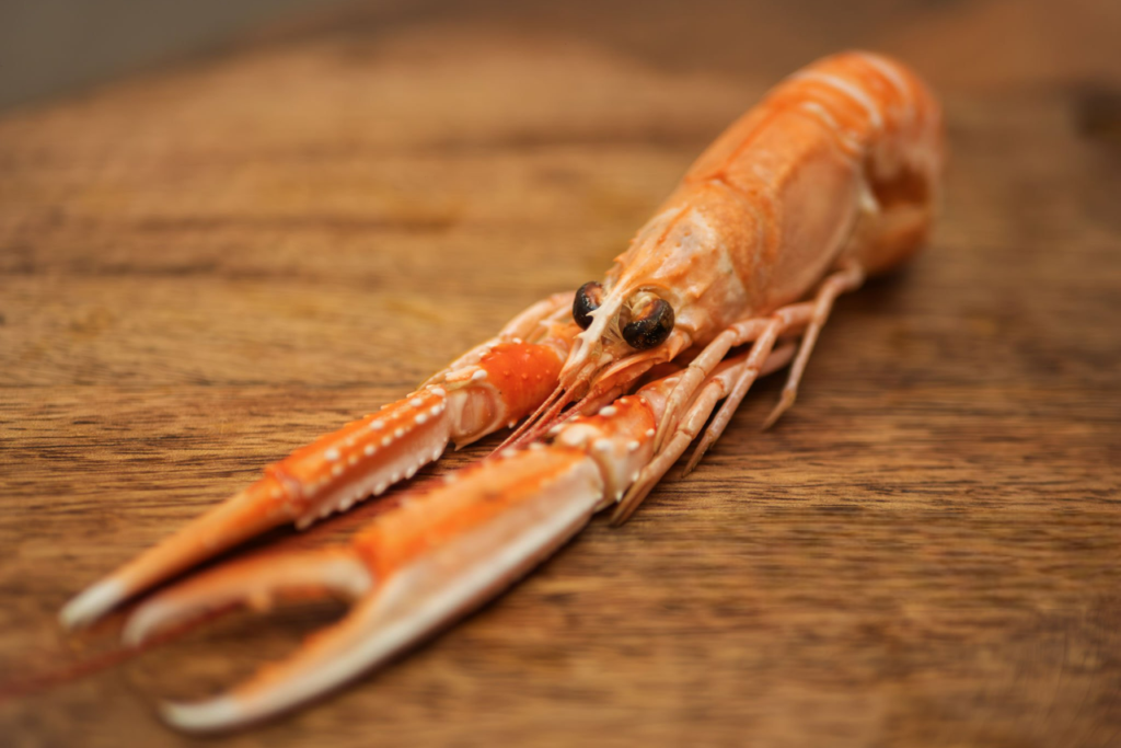Cuisson langoustine vivantes Cuisson langoustine vivantes