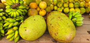 Fruit en J Légume