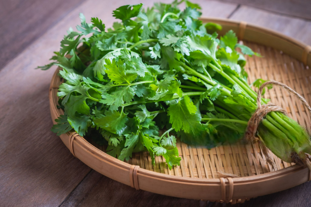 Gỏi đu đủ 