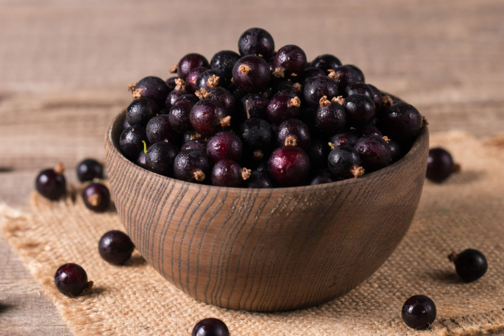 Fruit en J Légume Fruit en J Légume