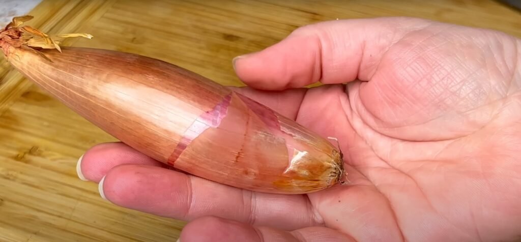 poisson à la bordelaise poisson à la bordelaise